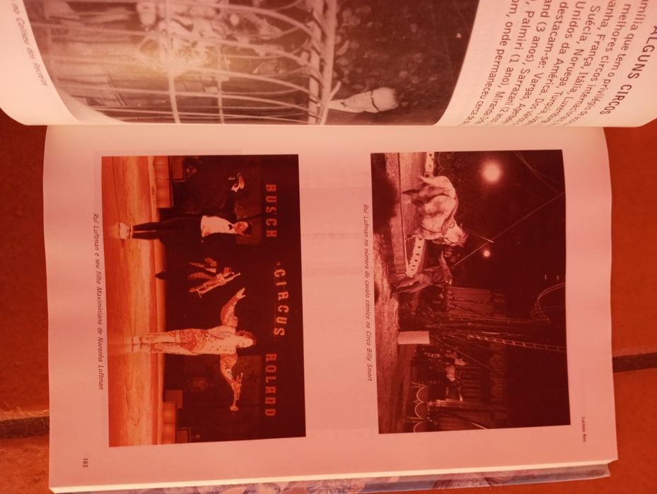 Luciano Reis - História do Circo - Famílias (Volume 2)