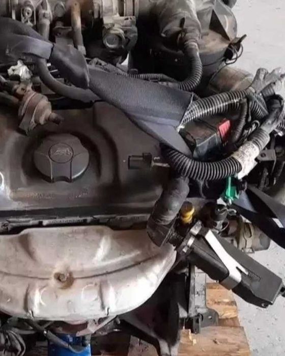 Assador de castanhas eletrônico em 5 a 6 minutos protas para comer,