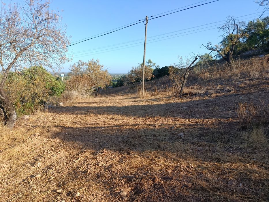 Terreno rústico Boliqueime
