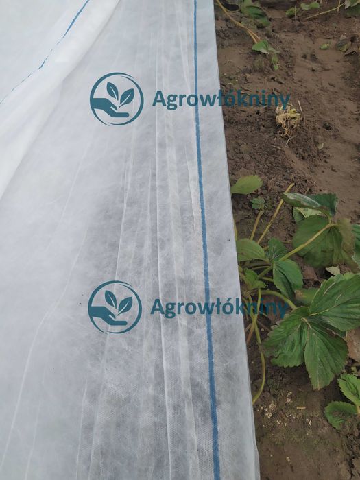 Lutrasil P30 Włóknina Agrowłóknina Niemiecka