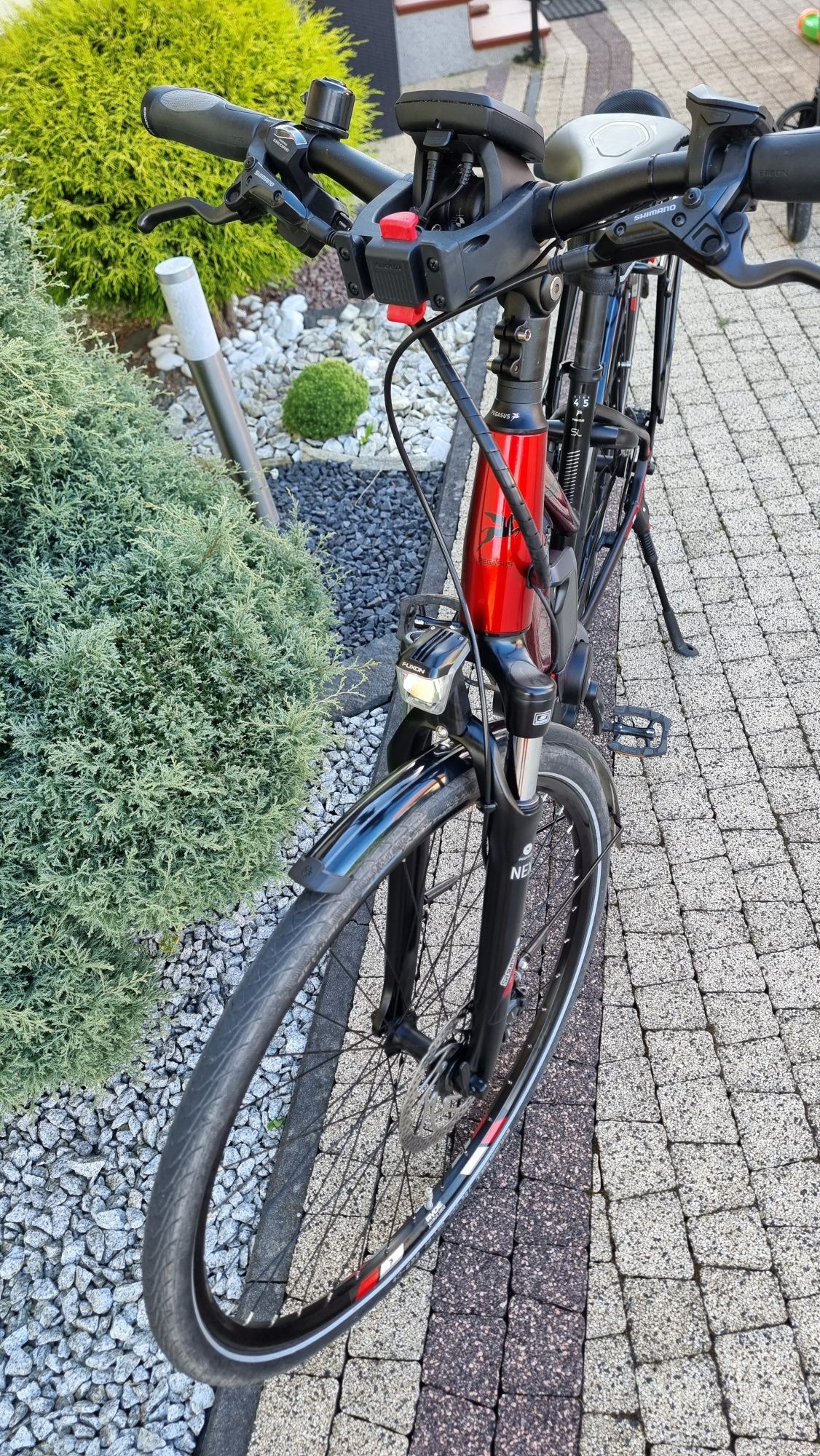 Rower elektryczny E-Bike Pegasus e10 pro Rama S