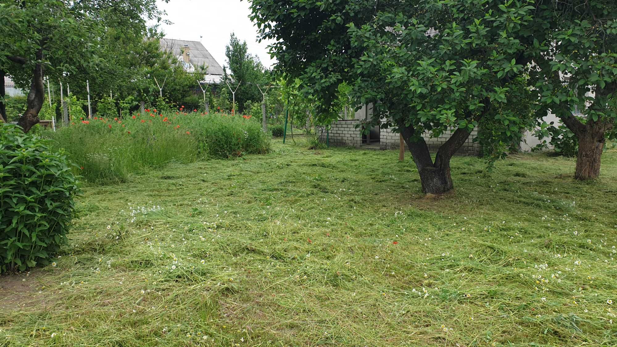 Продам Дачу в СТ Лісна поляна (с.Радісне)