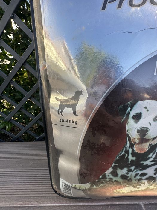 Cama Cão Várias de L a XS