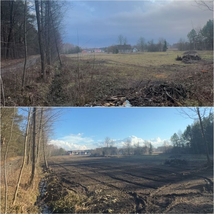 Mulczer Leśny Wycinka Drzew Frezowanie Pni