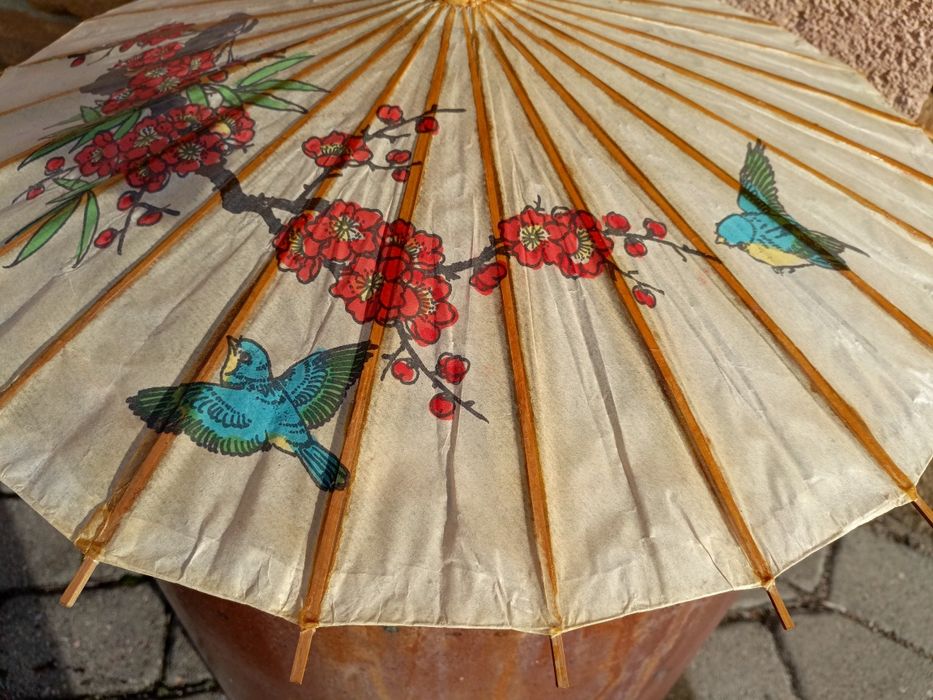 Chińska parasolka. Okazja