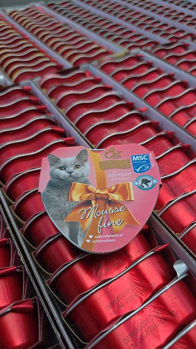 100szt Karma mix DLA KOTA