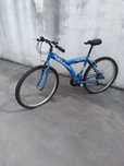Bicicleta adulto