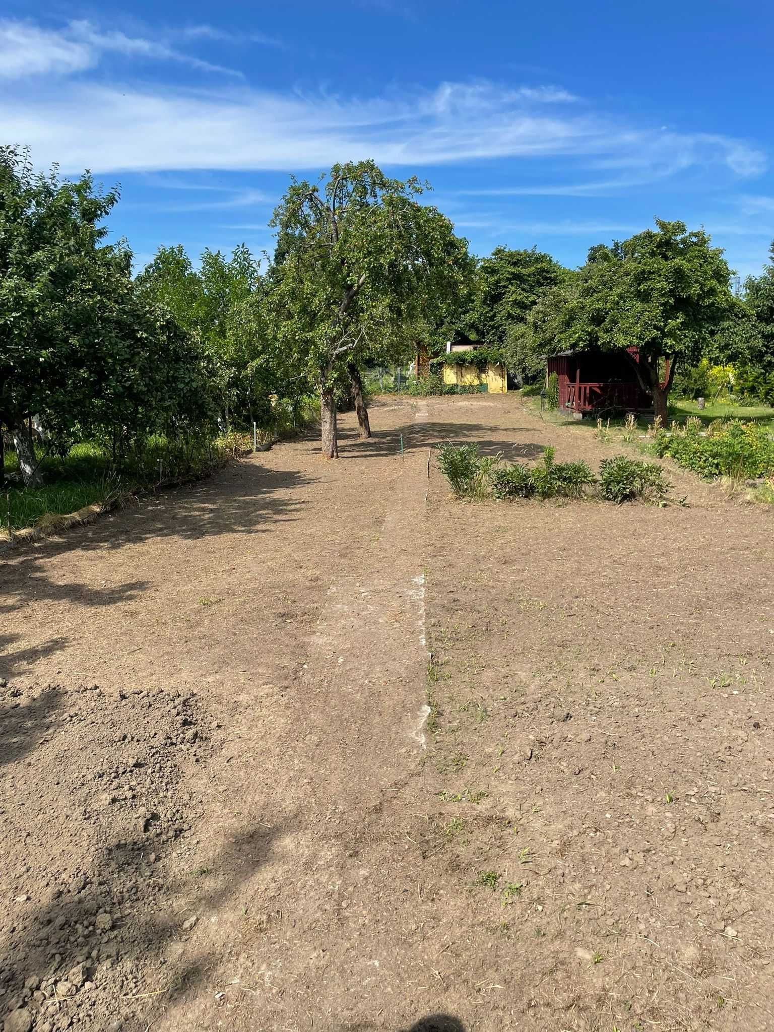 Działka ROD Gdynia al. Zwycięstwa 370m2