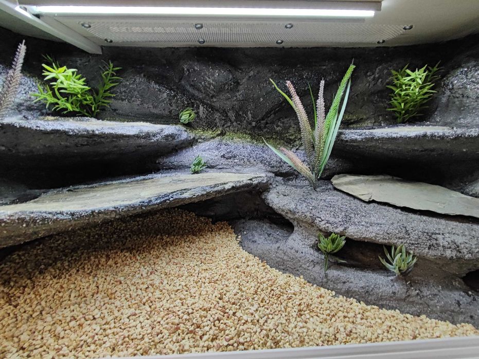 Terrarium pustynne nr755 80/40/40 dla gekona lamparciego DOSTĘPNE