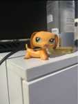 lps littlest pet shop jamnik pies