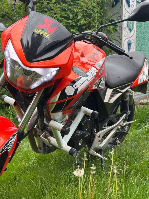 Геон пантера н200