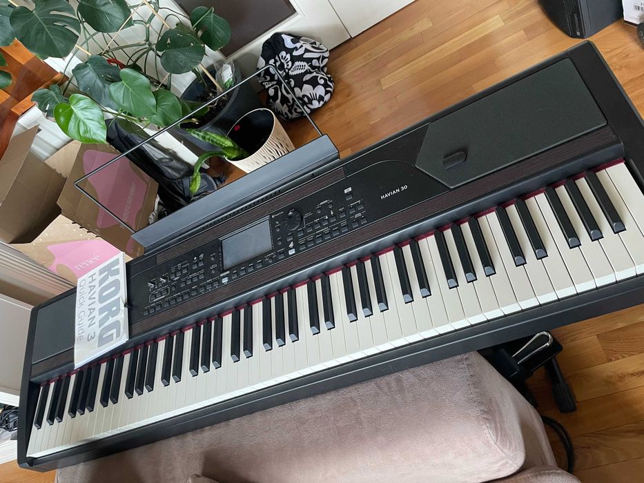 Pianino cyfrowe z aranżerem  KORG Havian - stan bardzo dobry