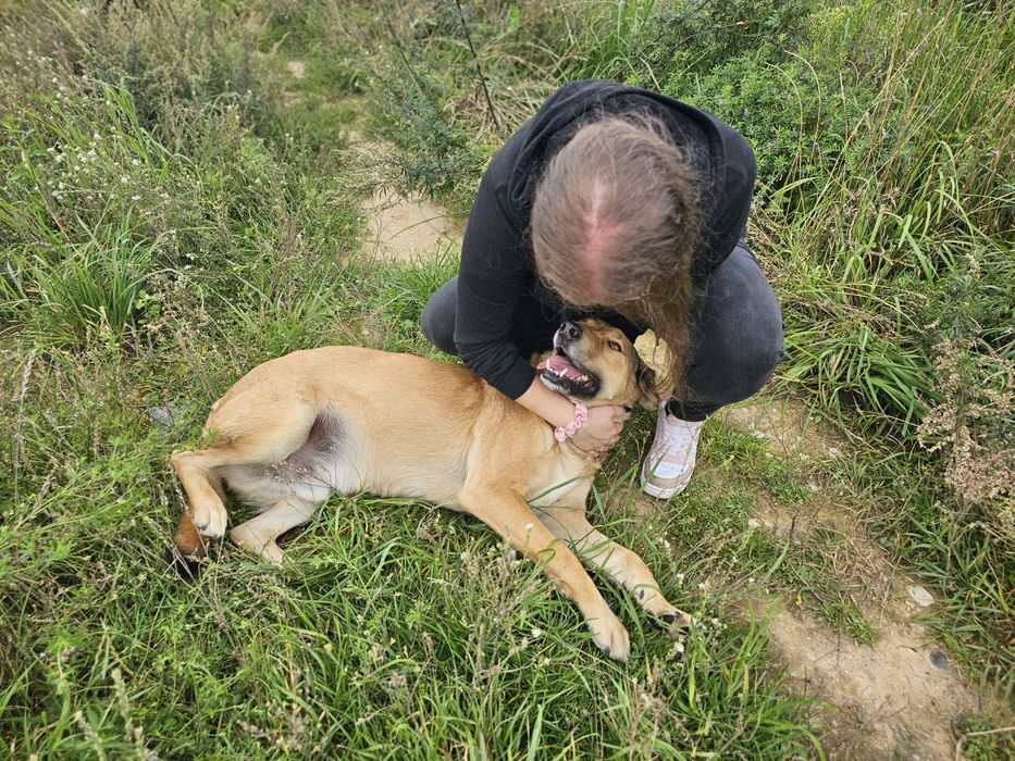 Proszę o dom dla psa Nemo