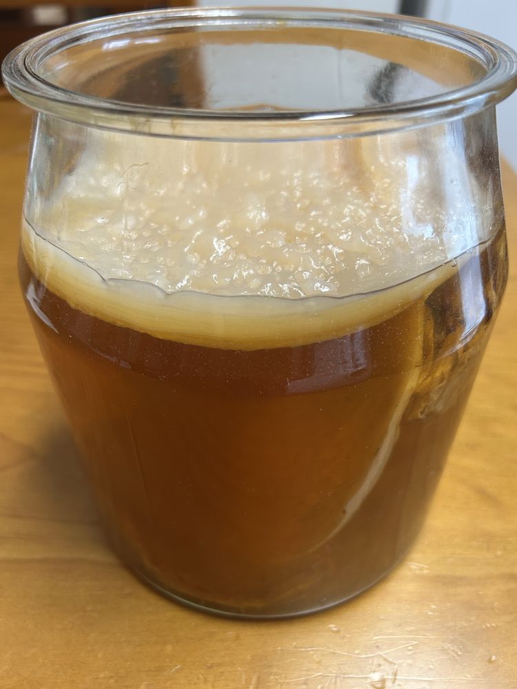 Vendo combucha, e um bom probiotico.