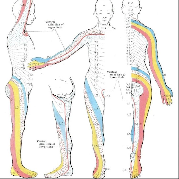 PRECISA IR AO ENDIREITA? Tecnico profissional de artes curativas japonesa chinesa./ Osteopatia /ventosas etc.