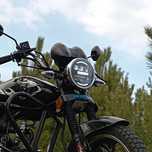 Мустанг фит 125 альфа