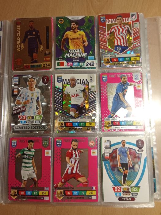 Karty piłkarskie panini