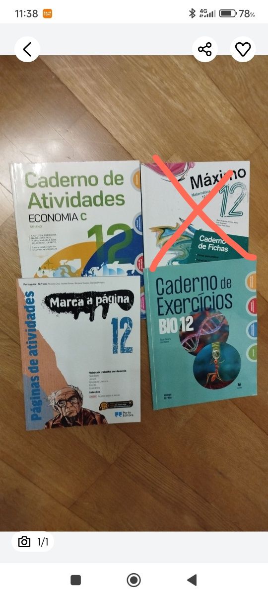Cadernos fichas 12° ano
