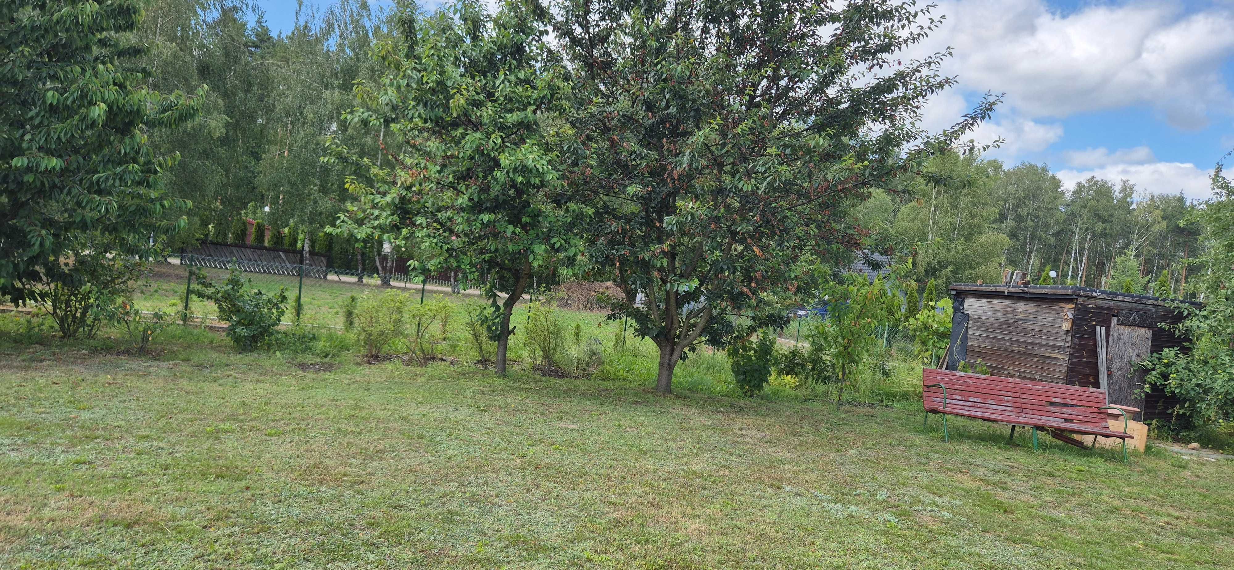 Działka ROD w Mazowieckim 500m2 - Budy Strzyże koło Mszczonowa
