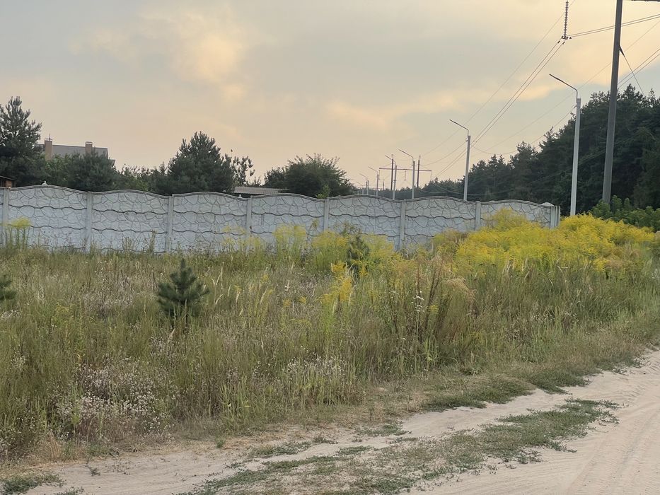 ЩАСЛИВЕ Продається Пейзажна Ділянка 15 соток вул. Соснова 70000$