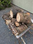 Drewno świerkowe