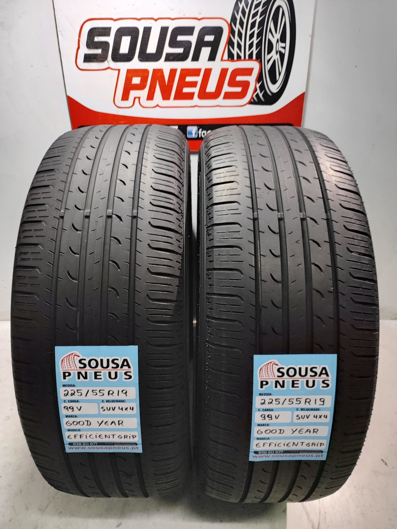 2 pneus semi novos Good Year 225/55R19 Oferta dos Portes