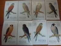 Znaczki pocztowe Ptaki,Sokoły r.1975,czyste