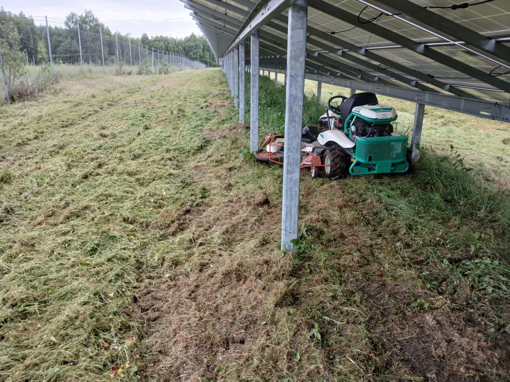 Tanie koszenie farm fotowoltaicznych - szybkie terminy