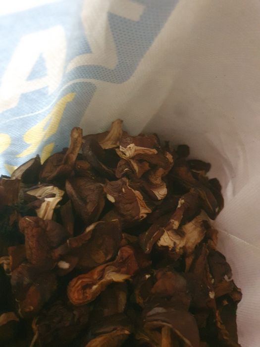 Prawdziwki suszone tegoroczne