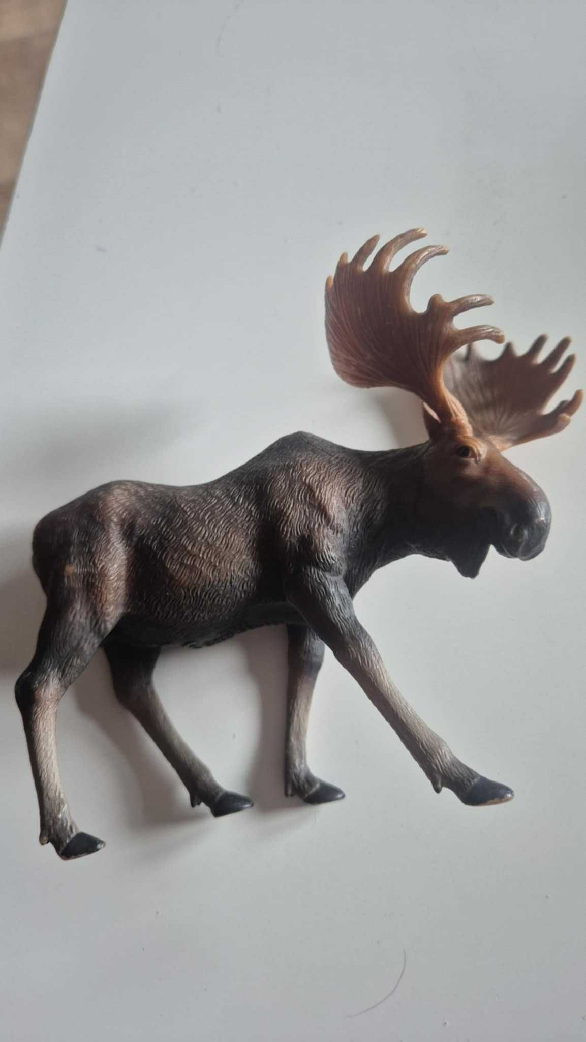Bayala schleich Arelan z sokołem