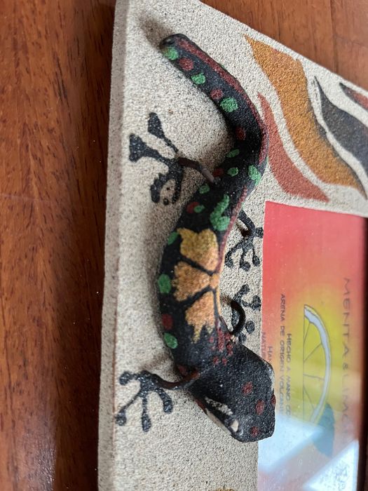 Porta retratos Lagarto