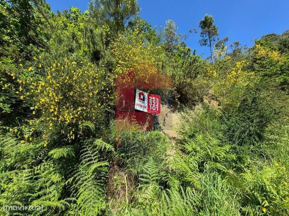Terreno Florestal, Sande
