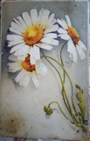 Старинные открытки  начала 20 века с цветами