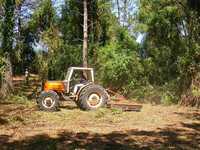 Serviços de trator e limpezas de terrenos