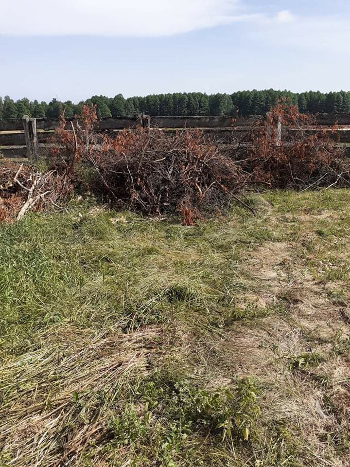 Rębak do gałęzi rozdrabniacz czyszczenie wycinka porządkowanie działek