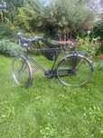 Rower męski Gazelle
