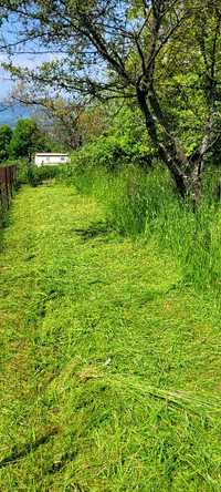Koszenie trawy ogrodów działek nieużytków wycinanie  usługi ogrodnicze