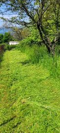 Koszenie trawy ogrodów działek nieużytków wycinanie usługi ogrodnicze