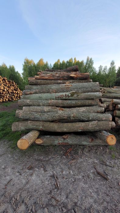 Drewno Dębowe w wałkach, w kawałkach, 2.5m