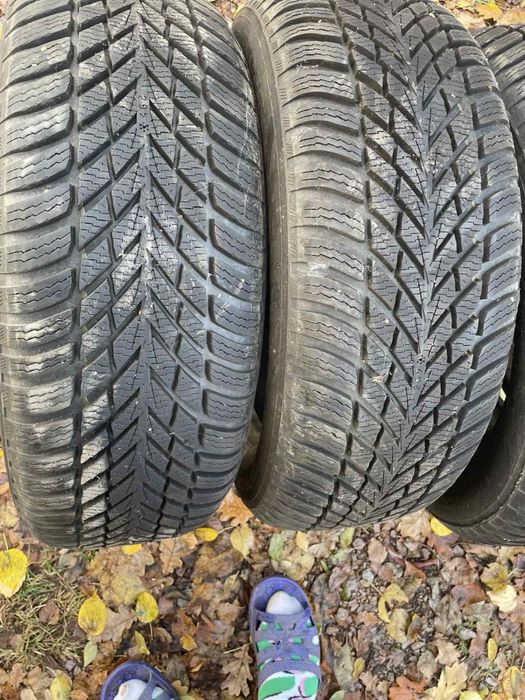 Зимові Шини Nokian R16 205/55