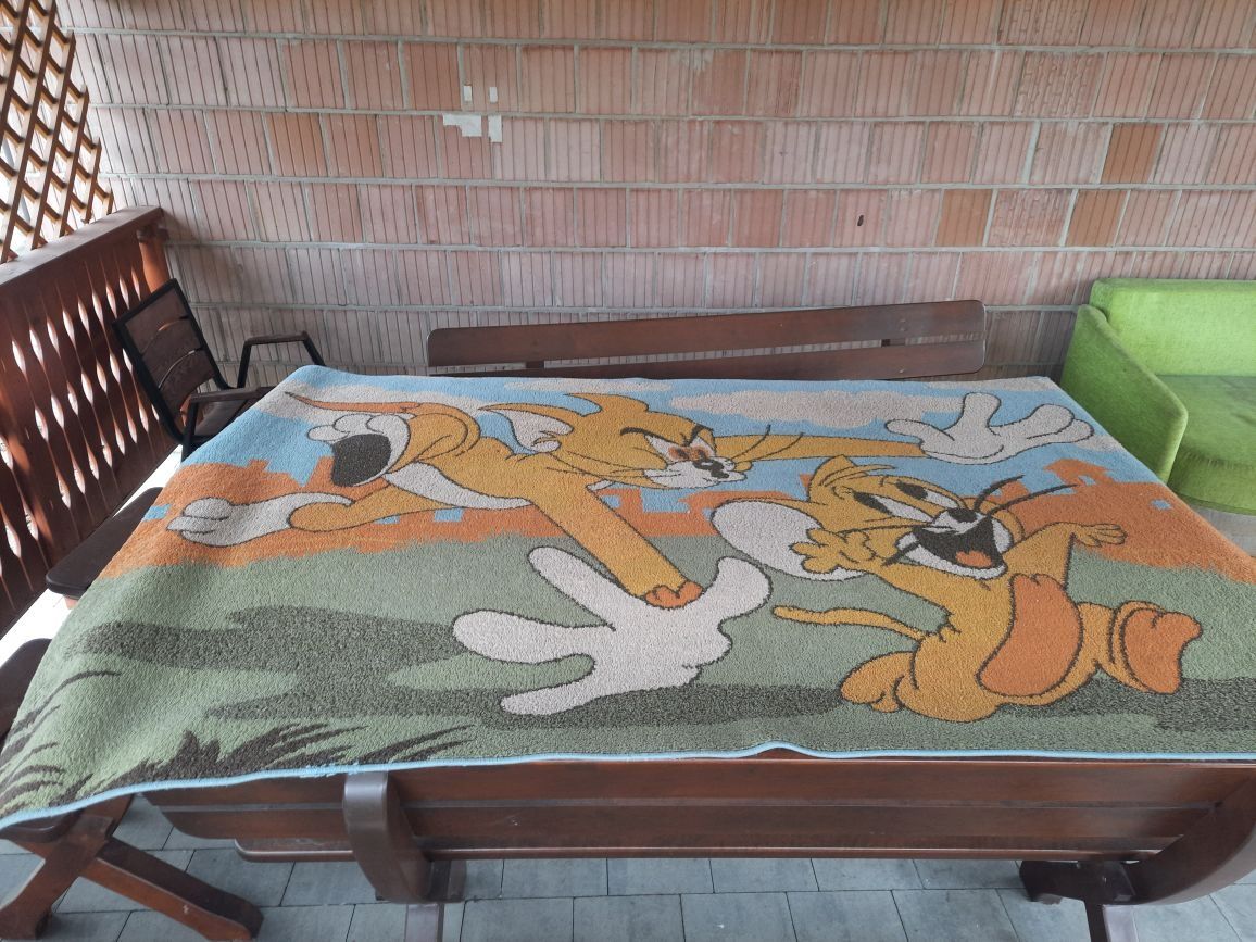 Dywan dziecięcy 230x160 Tom&Jerry