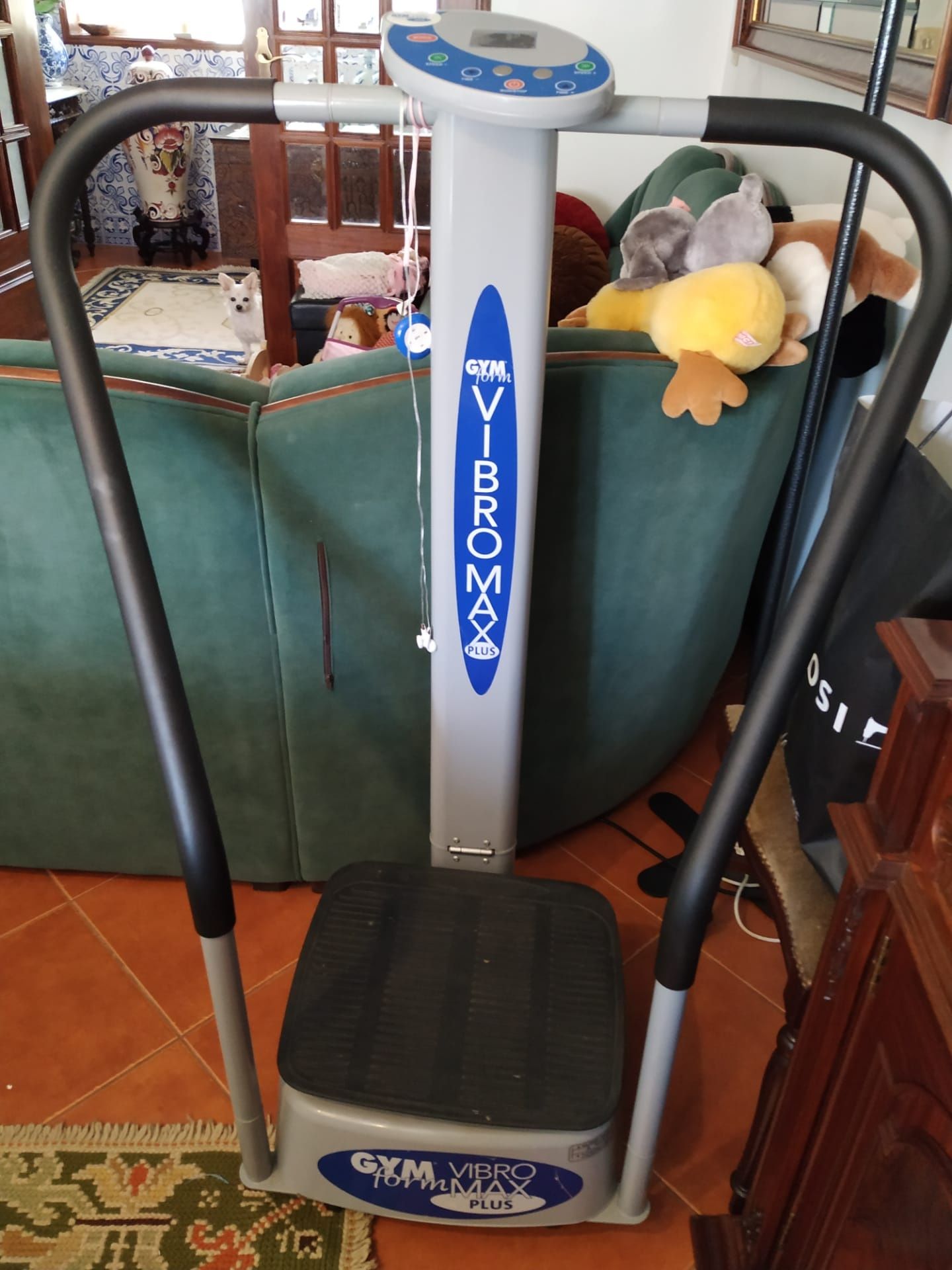 Vibroplate GymForm Plus como nova