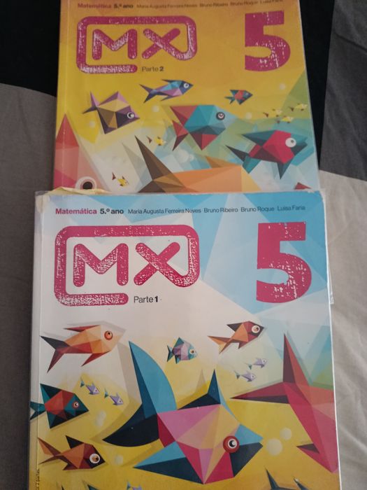 Manuais matemática 5 ano