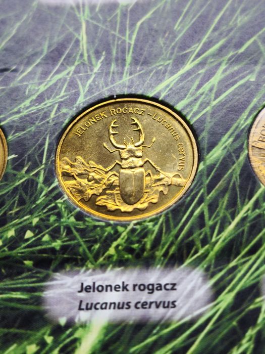 Moneta 2zł NG Jelonek Rogacz
