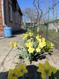 Терміново продається будинок