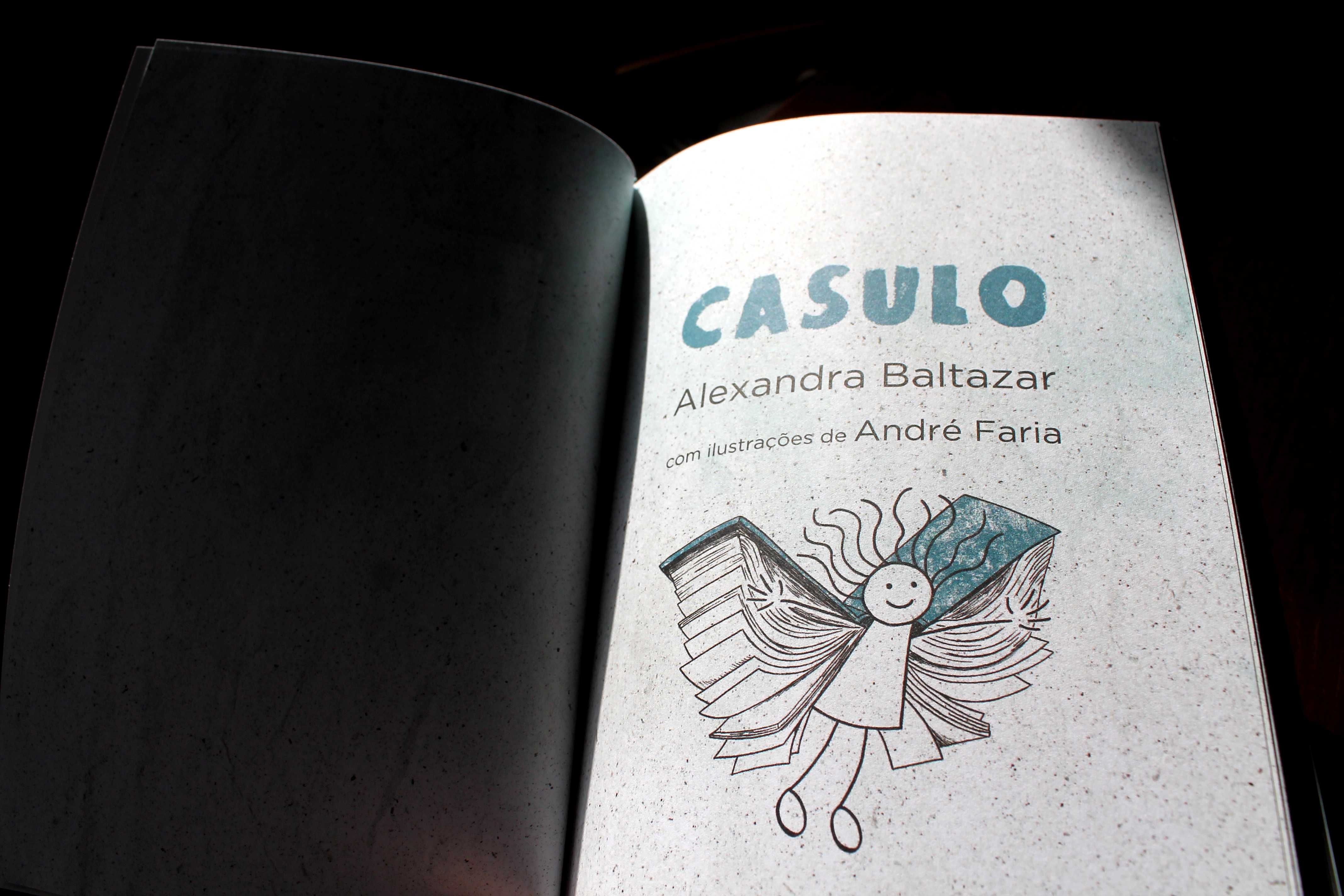 Casulo livro diário das emoções