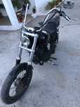 Harley davidson street bob