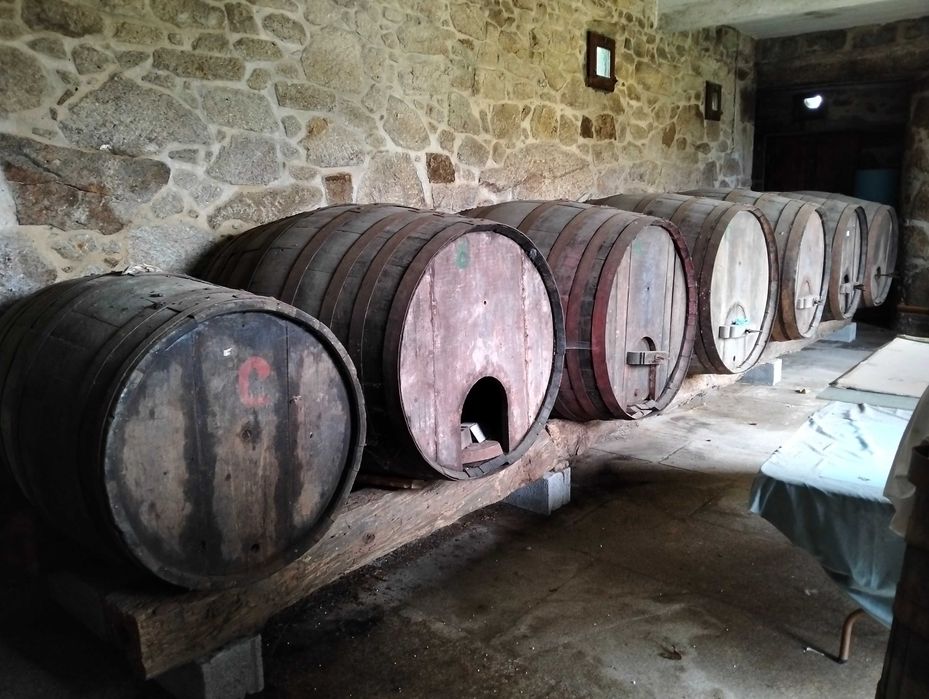 7 Pipas grandes em madeira