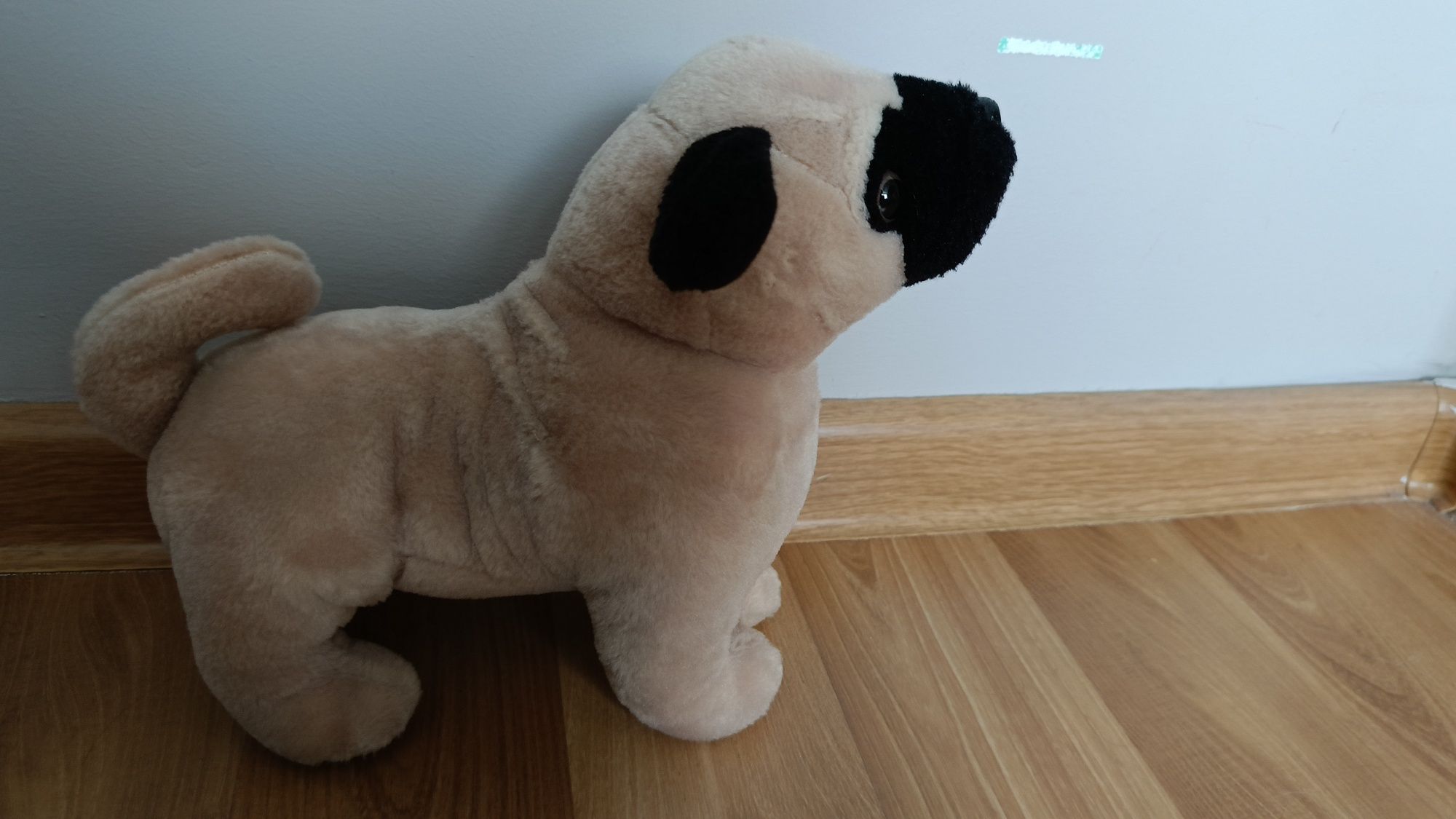Piesek pluszowy maskotka mops