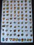 Pins/Alfinetes de Futebol da Rep. Checa.